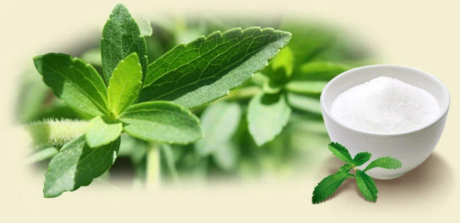 Organski Brasil Stevia